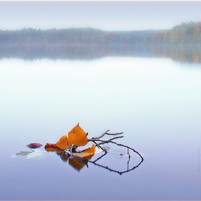 “Mi sento separato dai miei stessi pensieri, intrappolato in una terra di nessuno tra il sentimento e la sua espressione, e per quanto mi sforzi, di rado riesco a pronunciare piú di un balbettio confuso”

Paul Auster, Leviatano 

Peter Fernau