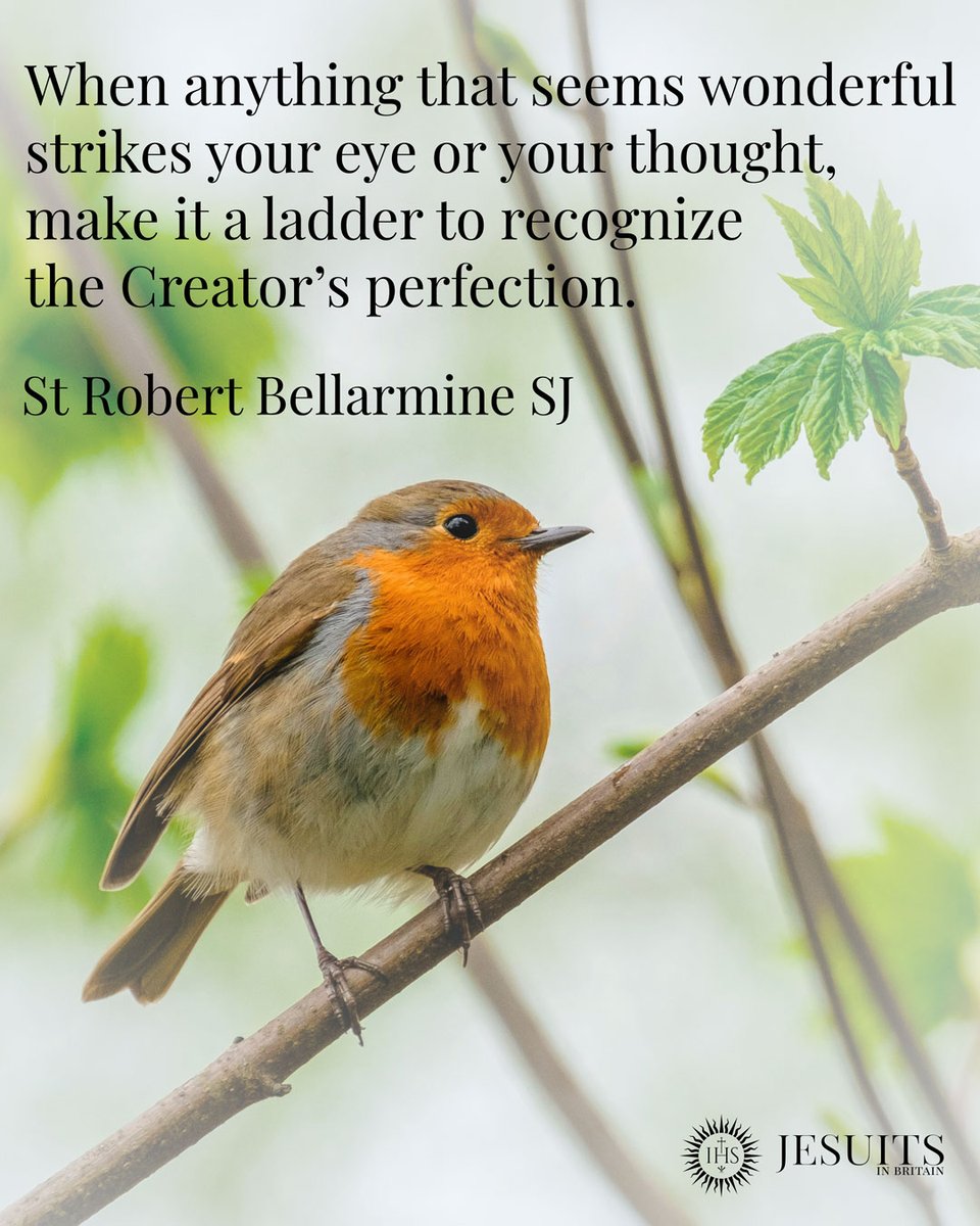 JesuitsBritain's tweet photo. When anything that seems wonderful strikes your eye or your thought, make it a ladder to recognize the Creator’s perfection.
- St Robert Bellarmine SJ https://t.co/W2FjFM53Lr