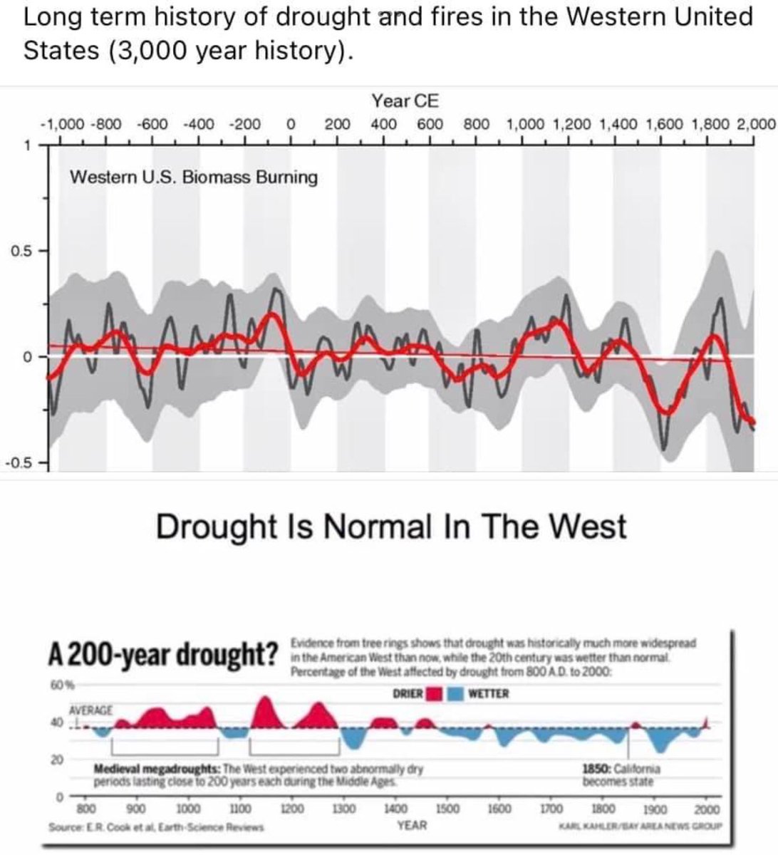Random Rationality tweet media