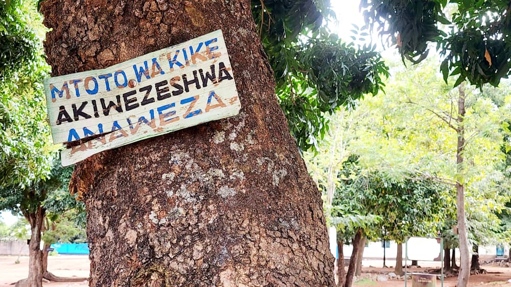 Tanzania Early Childhood Education and Care-TECEC tweet media