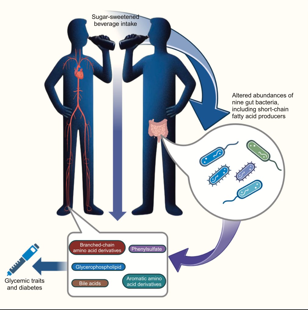 Gorka Orive tweet media