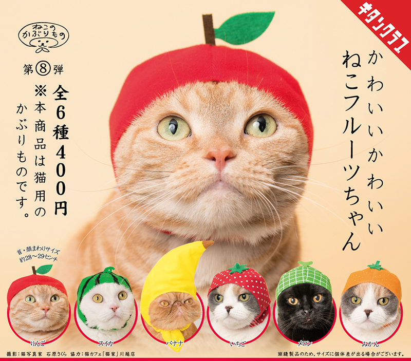 📢再販情報／ 猫ちゃんを可愛くおめかし❤ #かわいいかわいいねこの