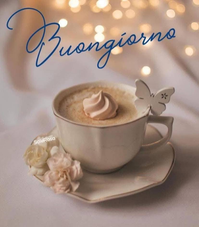 RITABIANCHi56 tweet media