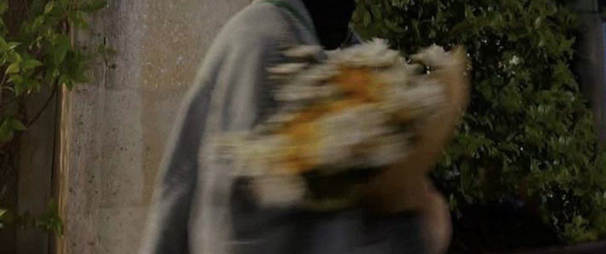 sabır çiçektir,
mutlaka açar.