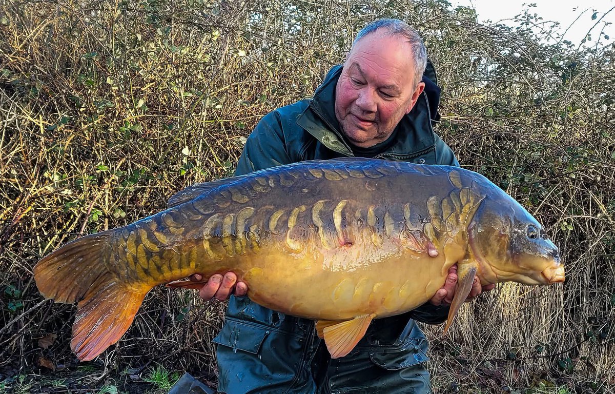 ccmoore_baits's tweet photo. Ninja Strikes with January 40🥷🔥
Martin Head banked this mega linear at 41.10 from a Dorset pit! A soon to be released 12mm Pro-Stim Liver Yellow pop-up over Flaked Maize & Intense Hemp doing the trick. Good skills Heady 🙌
.
.
.
#prostimliver #ccmoore #mooremeansmore #carp https://t.co/4C3Fmgab4v