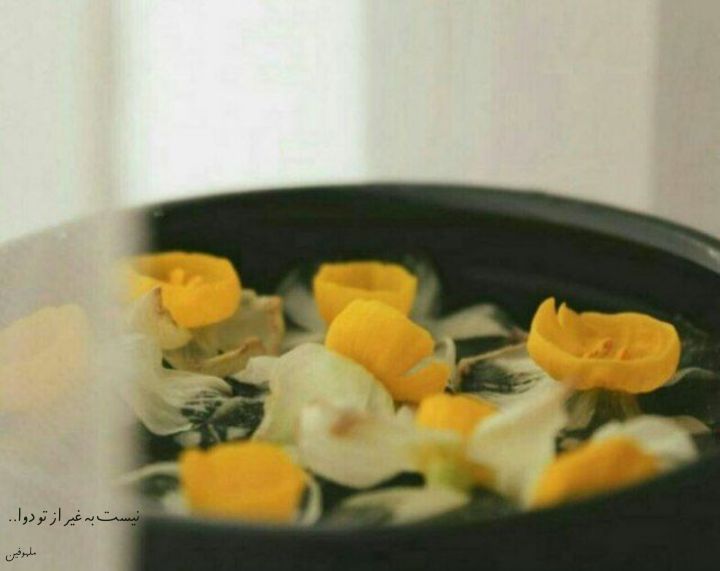 |آقای فرهادی| tweet media