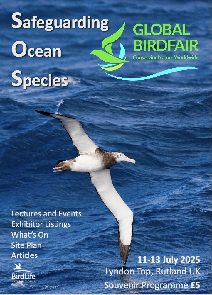 Global Birdfair tweet media