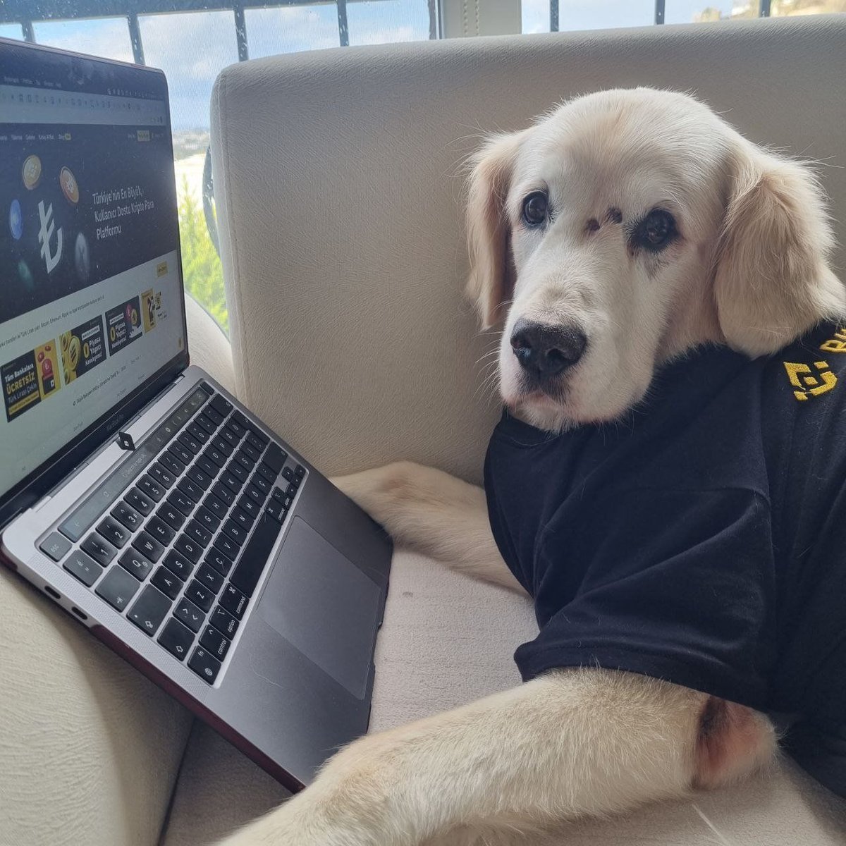 Binance Africa tweet media