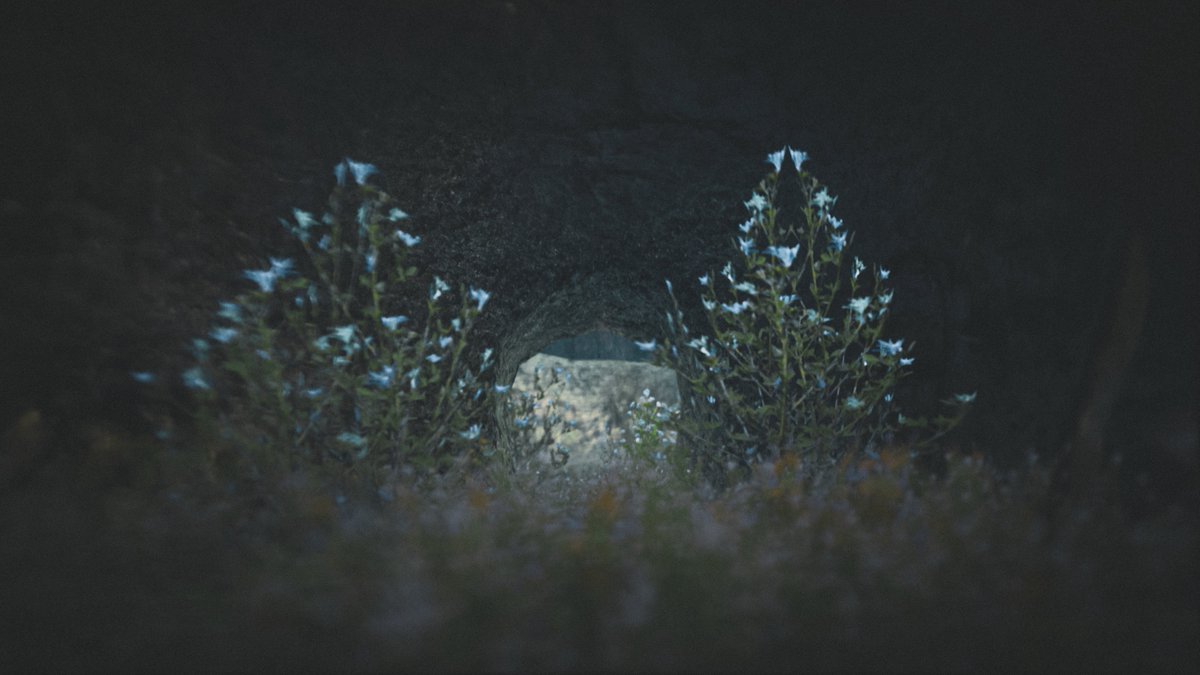 EsonAdventures's tweet photo. Another day, another adventure!
World: Isthmia Great Forest
Author: PMONickpop123

#VRChat #VRChat_world紹介 #VRChatphotography #VirtualPhotography https://t.co/9gk5JXTLfN