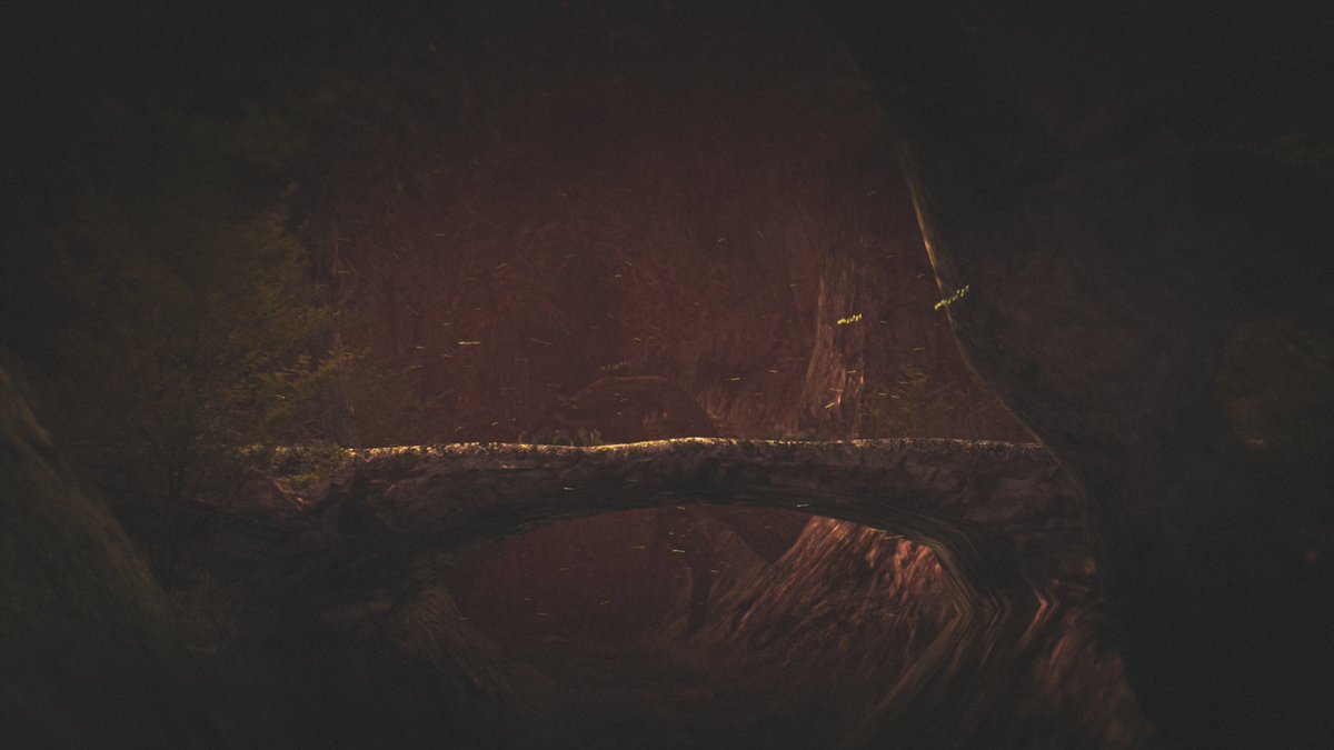 EsonAdventures's tweet photo. Another day, another adventure!
World: Isthmia Great Forest
Author: PMONickpop123

#VRChat #VRChat_world紹介 #VRChatphotography #VirtualPhotography https://t.co/9gk5JXTLfN