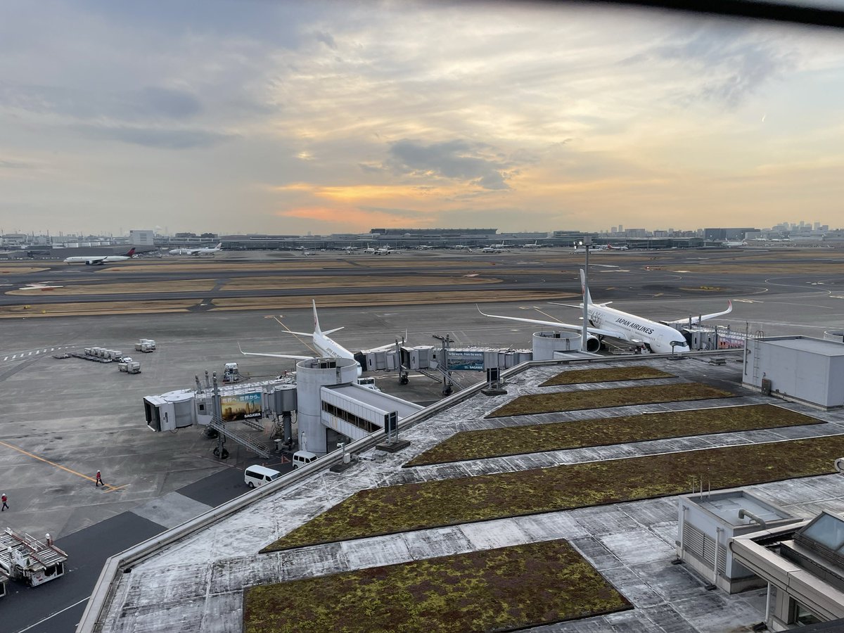 shibuya_picnic's tweet photo. 羽田空港 https://t.co/MGgzDTzYqH