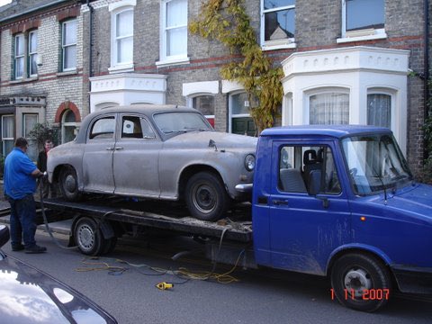 Red_Tabby 😻🐴🎾 tweet media