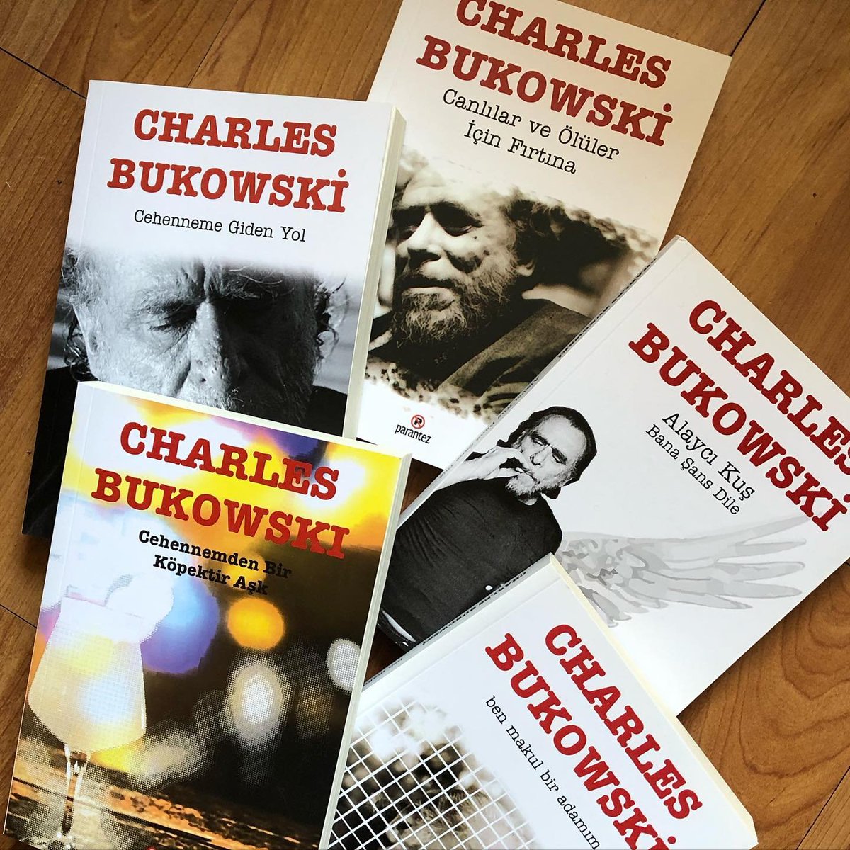#charlesbukowski
#charlesbukowskipoems
#cehennemegidenyol
#canlılarveölüleriçinfırtına
#cehenemdenbirköpektiraşk
#alaycıkuşbanaşansdile
#benmakulbiradamim
#parantezyayınları
#avipardo