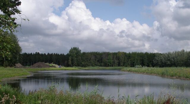 KhamakarPress's tweet photo. Staatsbosbeheer legt nieuwe slenk aan in Hollandse Hout - Khamakar News Agency https://t.co/93xcUinQ3h