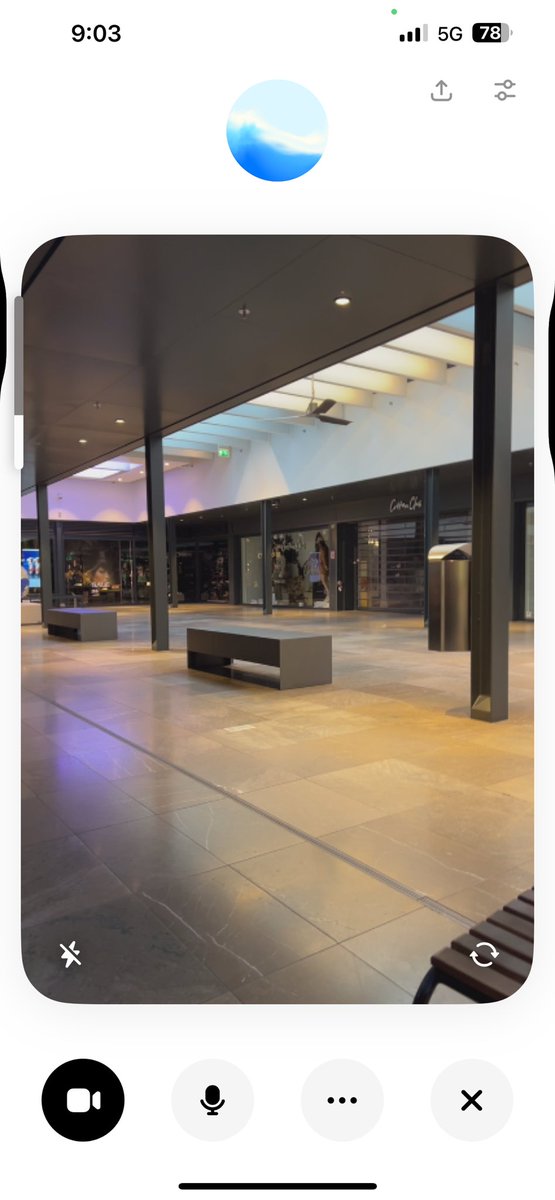 朗報
やっとオランダでもChatGPTのビデオチャットが使えるようになった
今まではVPNで使ってたけど、デフォで使えるのはめっちゃ楽
EUはAI関連の導入が本当に遅い
ビデオチャットは旅行で使うとガイドもしてくれそうなので次の旅行が楽しみ