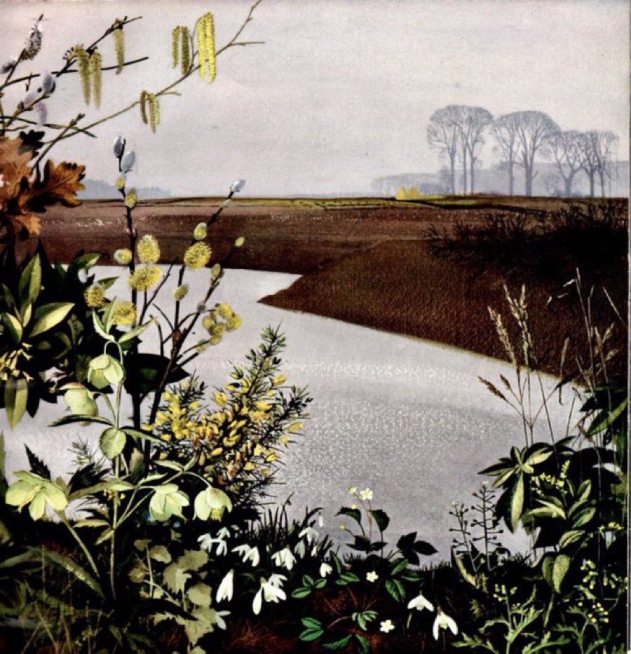 LBFlyawayhome's tweet photo. “February. Another cold, dead month, or so it seems. The elms are bare against the sky, the plough-ground is naked and wet, and still as brown as the sodden leaves. 
Yet the world is waking up”. 

Artists: Edith Hilder, Rowland Hilder (ShellGuide, 1955) https://t.co/vDKtcWs84K