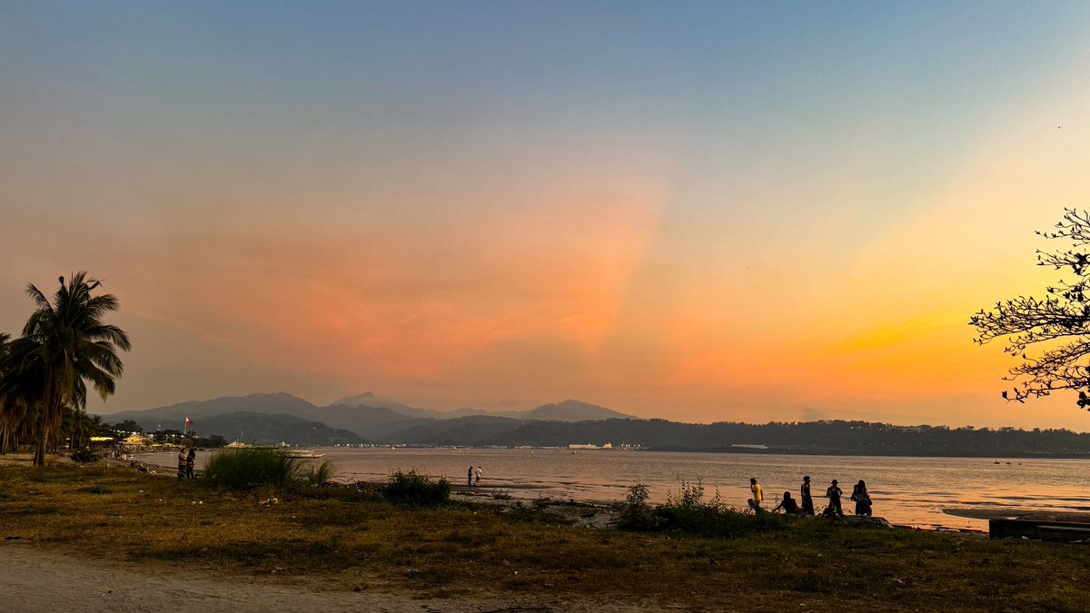 dadogmutt's tweet image. Philippines I am in you🇵🇭