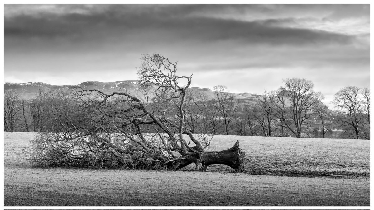 TrueNorthCaptures tweet media