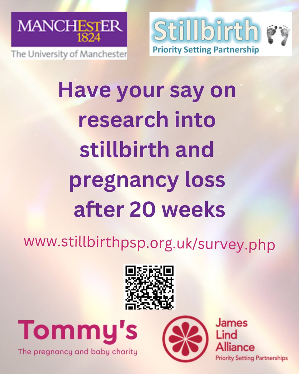 Willow’s Rainbow Box tweet media