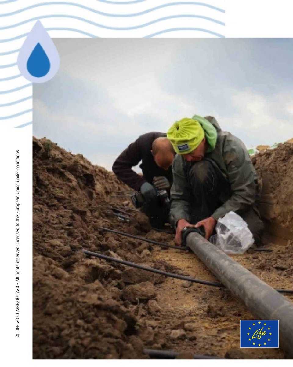 LIFE Programme (@lifeprogramme) on Twitter photo Every drop counts🌱💧
#LIFEProject <a href="/LifeAclima/">Life ACLIMA</a> helps farmers adapt to #ClimateChange by providing tools to manage water challenges like droughts & heavy rain🌧️
📽️Watch on YouTube: tco.li/qtw78
#LIFEProgramme #WaterWiseEU Every drop counts🌱💧
#LIFEProject <a href="/LifeAclima/">Life ACLIMA</a> helps farmers adapt to #ClimateChange by providing tools to manage water challenges like droughts & heavy rain🌧️
📽️Watch on YouTube: tco.li/qtw78
#LIFEProgramme #WaterWiseEU