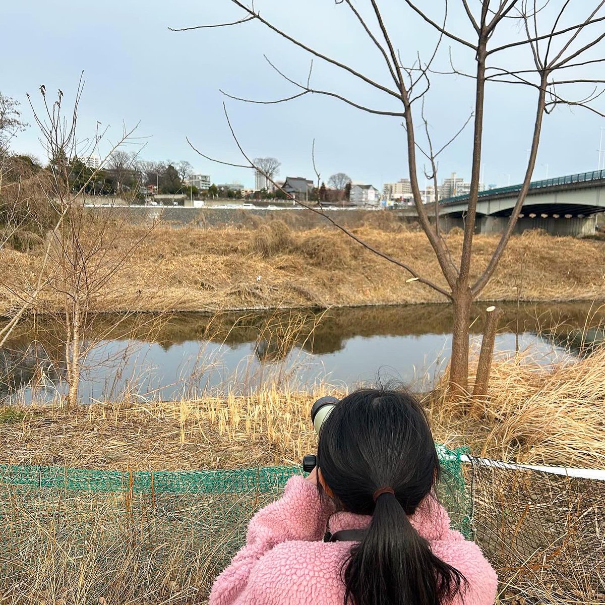 solavo0717's tweet photo. 2/1(土)【まちの鳥を観察しよう！】を開催しました✨
ご参加くださった皆さま、本当にありがとうございました🙏

鳥の専門家の山﨑先生に、まずは高崎にいる野鳥について教えていただき、実際に観察へ♪
じっくりたっぷり観察できました🔍✨🦆

1枚目の写真は猛禽類のノスリ！
背景は高崎市役所です。 https://t.co/jyvK4xuJKx