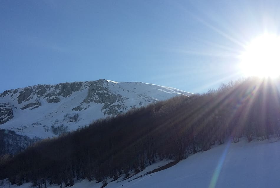 sentieripollino's tweet photo. Alla scoperta dei #pianidipollino!
Un' #escursione imperdibile per tutti gli amanti della #natura! In inverno, #ciaspole e #sci trasformano il #paesaggioinnevato in uno spettacolo da sogno!
Per altre foto e per approfondire 👇
https://t.co/3i5YtOCpHT https://t.co/oluc1ljp1Q