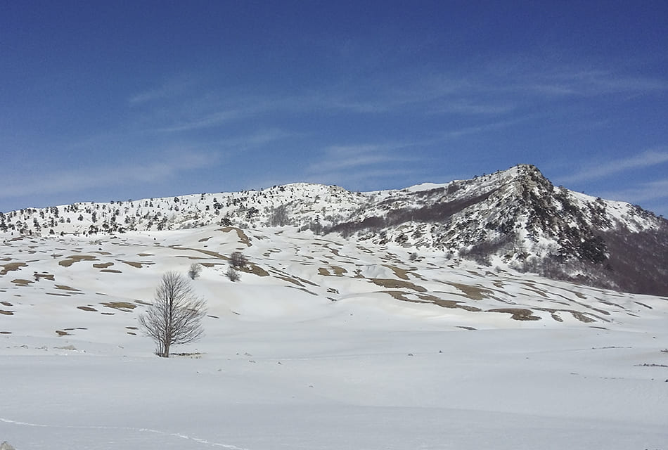 sentieripollino's tweet photo. Alla scoperta dei #pianidipollino!
Un' #escursione imperdibile per tutti gli amanti della #natura! In inverno, #ciaspole e #sci trasformano il #paesaggioinnevato in uno spettacolo da sogno!
Per altre foto e per approfondire 👇
https://t.co/3i5YtOCpHT https://t.co/oluc1ljp1Q