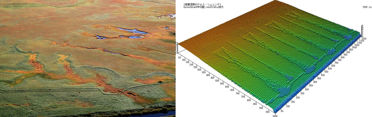 Boreal Environment Research tweet media