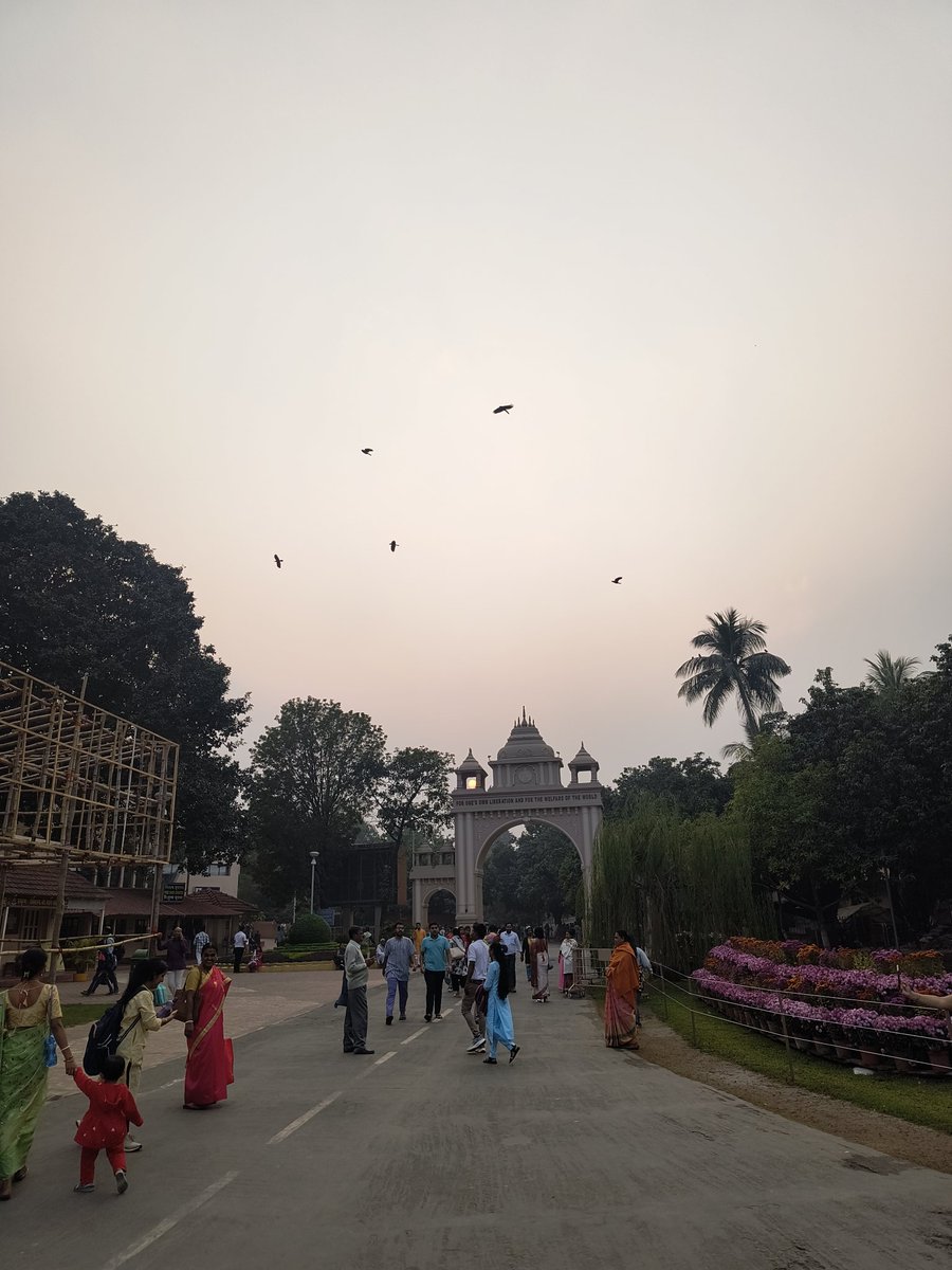 abhishekkr_ssh's tweet image. Always a delight!