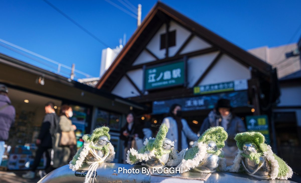 POGGHI's tweet photo. ราวเหล็ก���ำหรับกั้นรถผ่าน ตรงหน้าสถานีรถไฟ Enoshima เมืองคามาคุระ ทำเป็นรูปปั้นนก ๘ ตัว (ราวละ ๔ ตัว) มีชื่อว่า Enopiko

แต่ละฤดูกาล มีคนถักไหมพรมเป็นเสื้อมาห่มให้ กลายเป็นเอกลักษณ์น่ารักๆ

เพิ่งแวบไปถ่ายมา ช่วงนี้เป็นชุดสีเขียว - เหลือง สดใสเชียว ��️ https://t.co/OM5T6MBXQe
