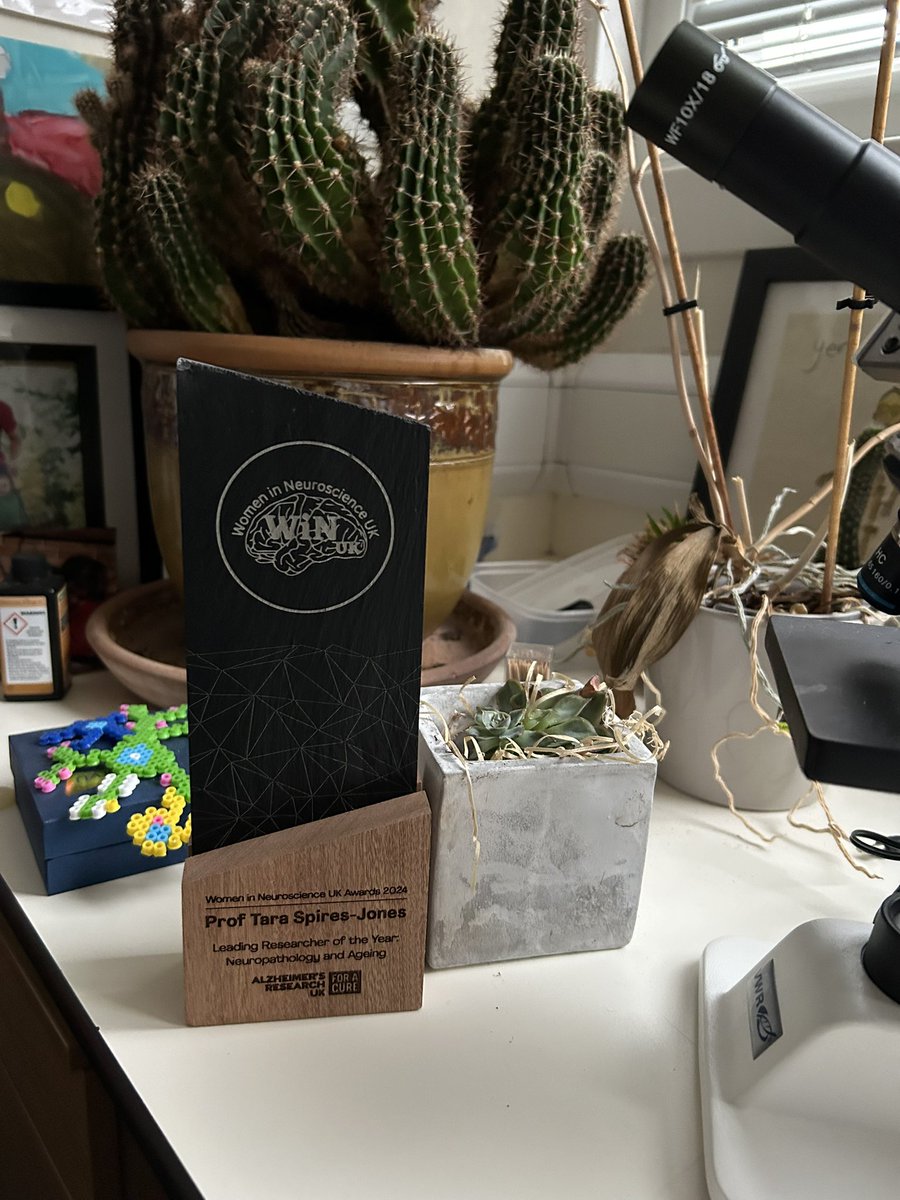 Prof Tara Spires-Jones (@tspiresjones) on Twitter photo Thank you <a href="/WomeninNeuroUK/">WiNUK: Women in Neuroscience UK 🧠</a> for sending up this fantastic award! Now in pride of place with Joan the cactus Thank you <a href="/WomeninNeuroUK/">WiNUK: Women in Neuroscience UK 🧠</a> for sending up this fantastic award! Now in pride of place with Joan the cactus