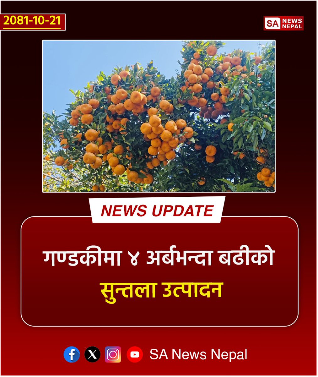 #sanewsnepal #NewsUpdate
गण्डकीमा ४ अर्बभन्दा बढीको सुन्तला उत्पादन

गण्डकी ।  गण्डकी प्रदेशमा यस वर्ष रु चार अर्ब १७ करोड २७ लाख बराबरको सुन्तला उत्पादन भएको छ । कृषि विकास निर्देशनालयको प्रारम्भिक आँकडा अनुसार ६६ हजार पाँच सय ७८ मेट्रिक टन सुन्तला उत्पादन भएको हो ।
