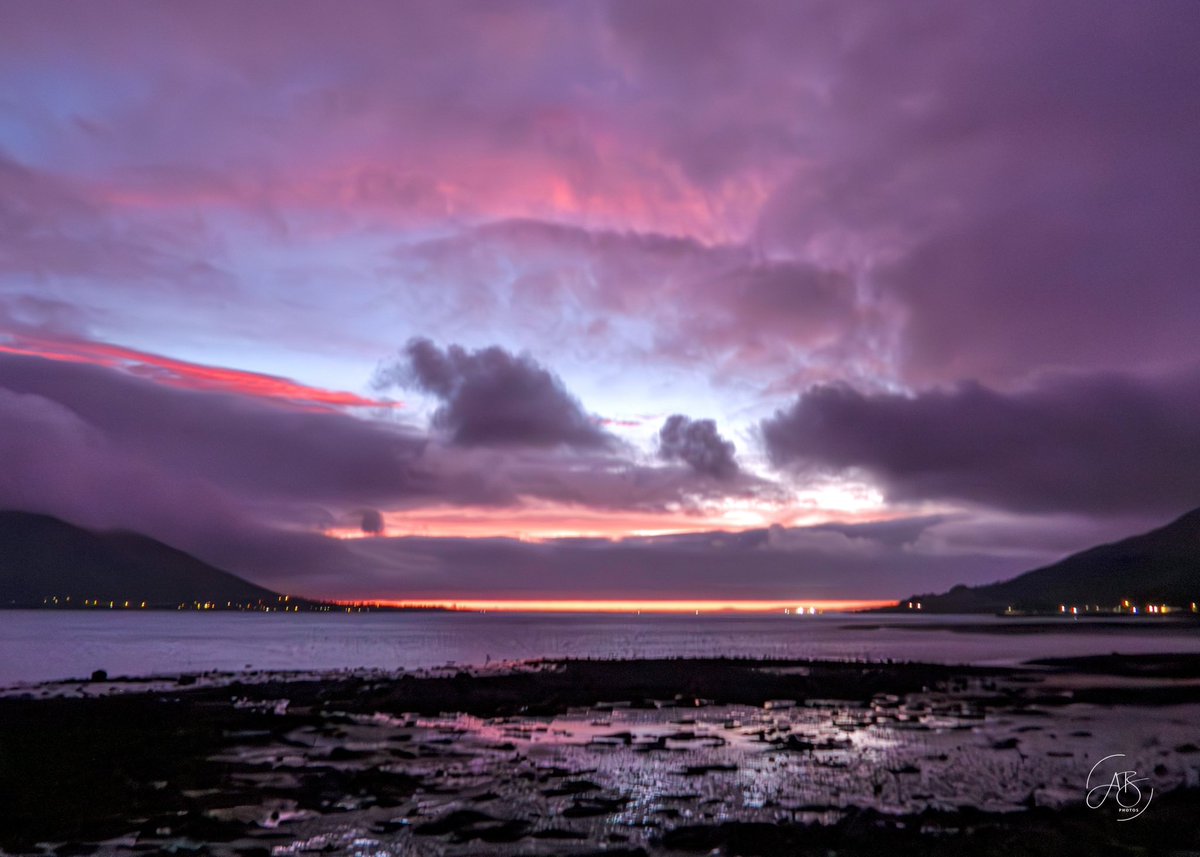 Ann Bruen tweet media