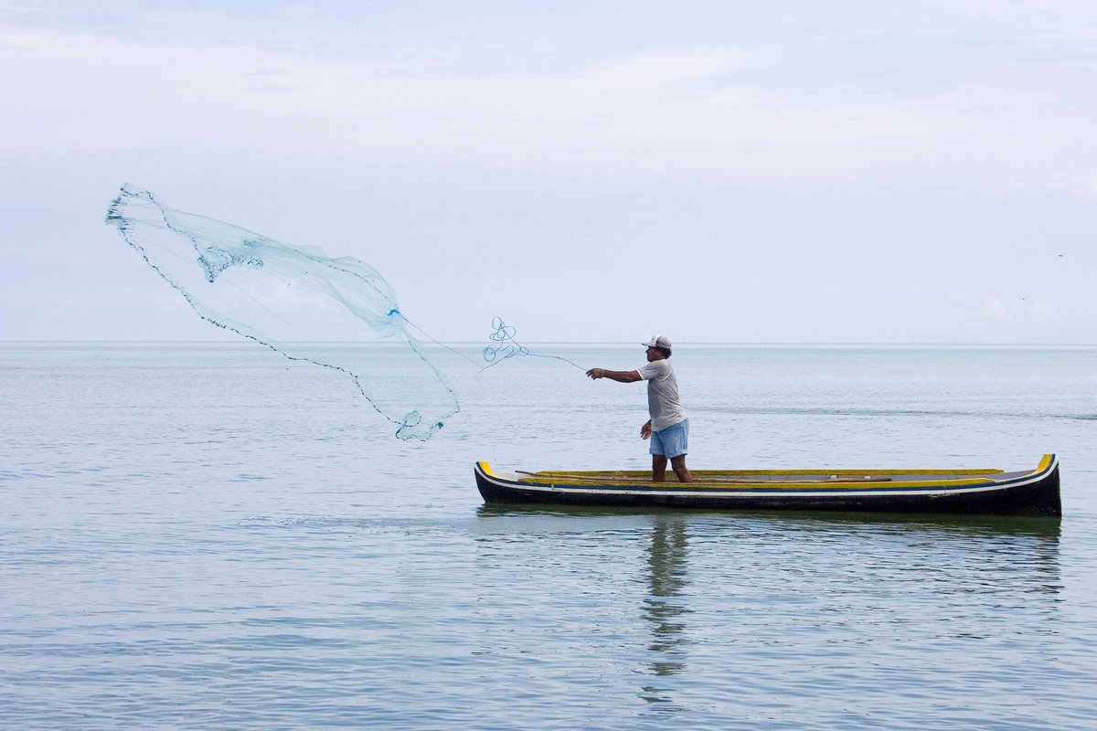 El #IEO lidera un programa iberoamericano para formar a los futuros gestores pesqueros

El proyecto #GIPFORM surge como respuesta a la necesidad de formar profesionales cualificados en la gestión sostenible de recursos pesqueros en Iberoamérica

🔗tinyurl.com/296ty4tw
