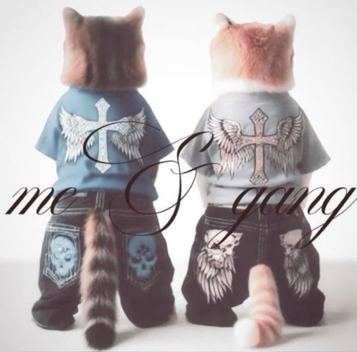 Me and my mutuals 😼