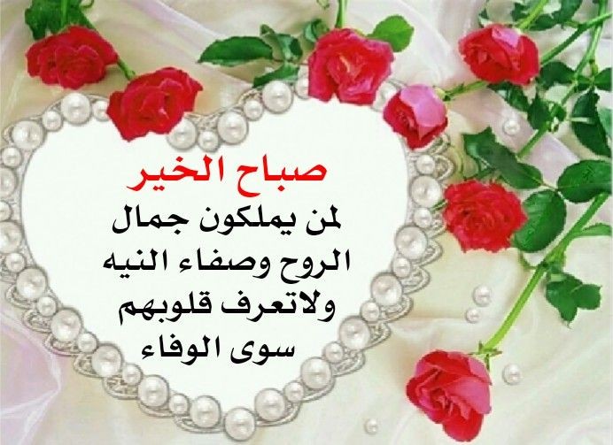 حاولنا مرارا وتكرارا زرع الود والحب في قلوبهم🌷فاكتشفنا ان تربتهم غير صالحه للزراعه🌷حاولنا ان نروي تلك التربه بالصبر🌷ان نغذيها باالامل🌷
ان نهبها النقاءالذي تحتاجه🌷
لتنبت مشاعر حقيقيه لكن عبثا نحاول🌷هناك ارواح اعتادت الجفاف وقلوب اغلقها الصدى
لاتستجيب للخير مهما فعلت،،،