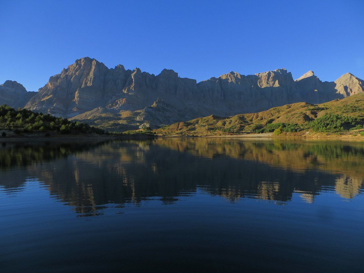 IPE_CSIC's tweet image. Un estudio liderado por el IPE identifica #ADN de animales domésticos de hace más de 6.000 años en el #Pirineo aragonés. 🏔️Ha sido publicado en 'Communications Earth & Environment', del grupo Nature.
ℹ️delegacion.aragon.csic.es/wp-content/upl…