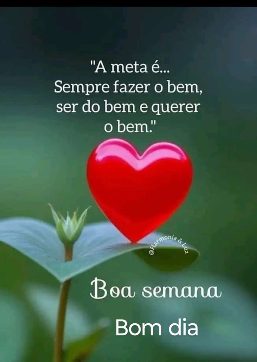 José Teles Proença Sobrinho (@proenca82911) on Twitter photo 