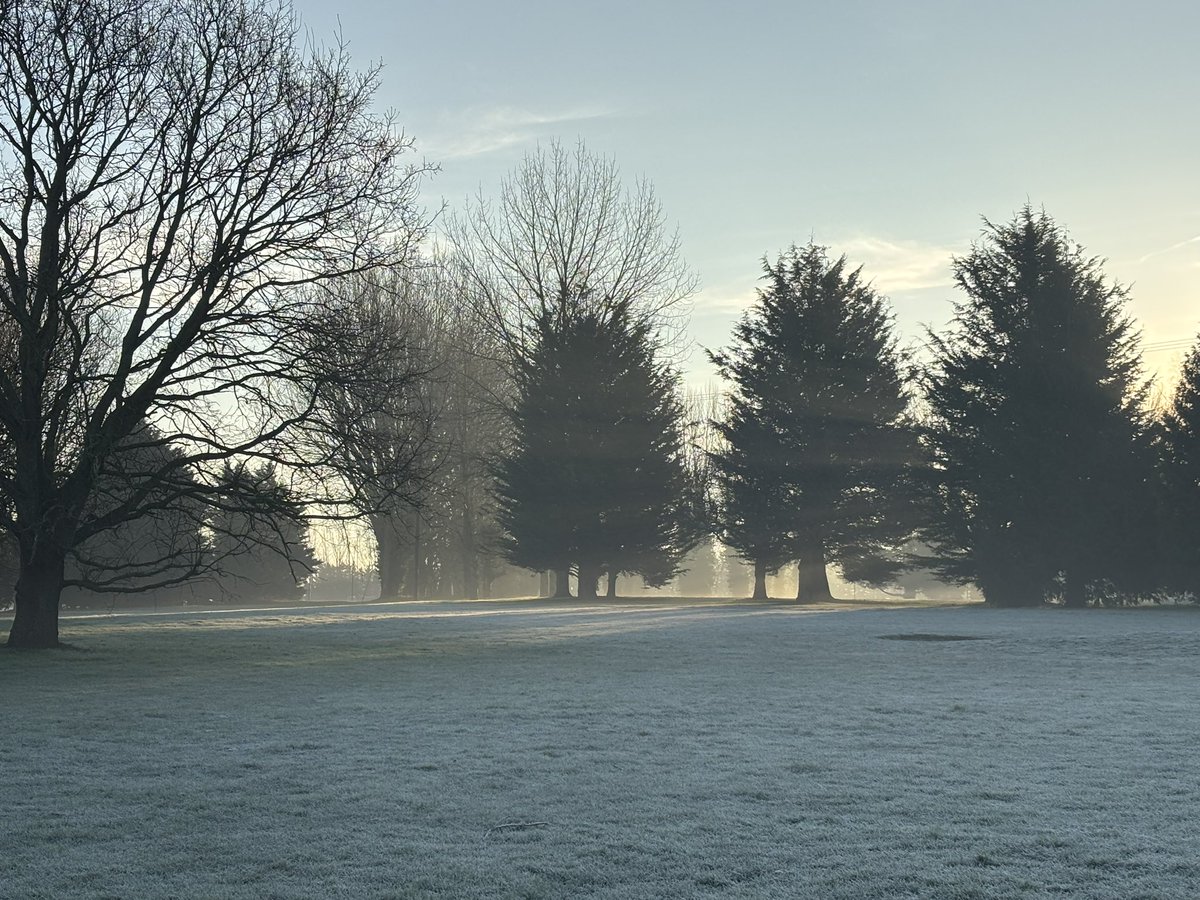 Tanya Ferry tweet media