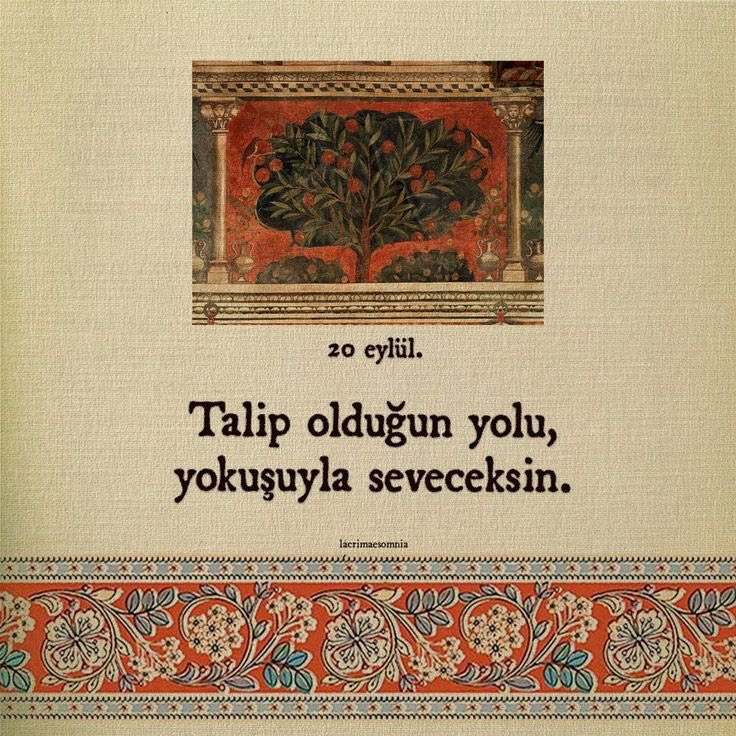 Monna Rosa (@ayaserenat) on Twitter photo 