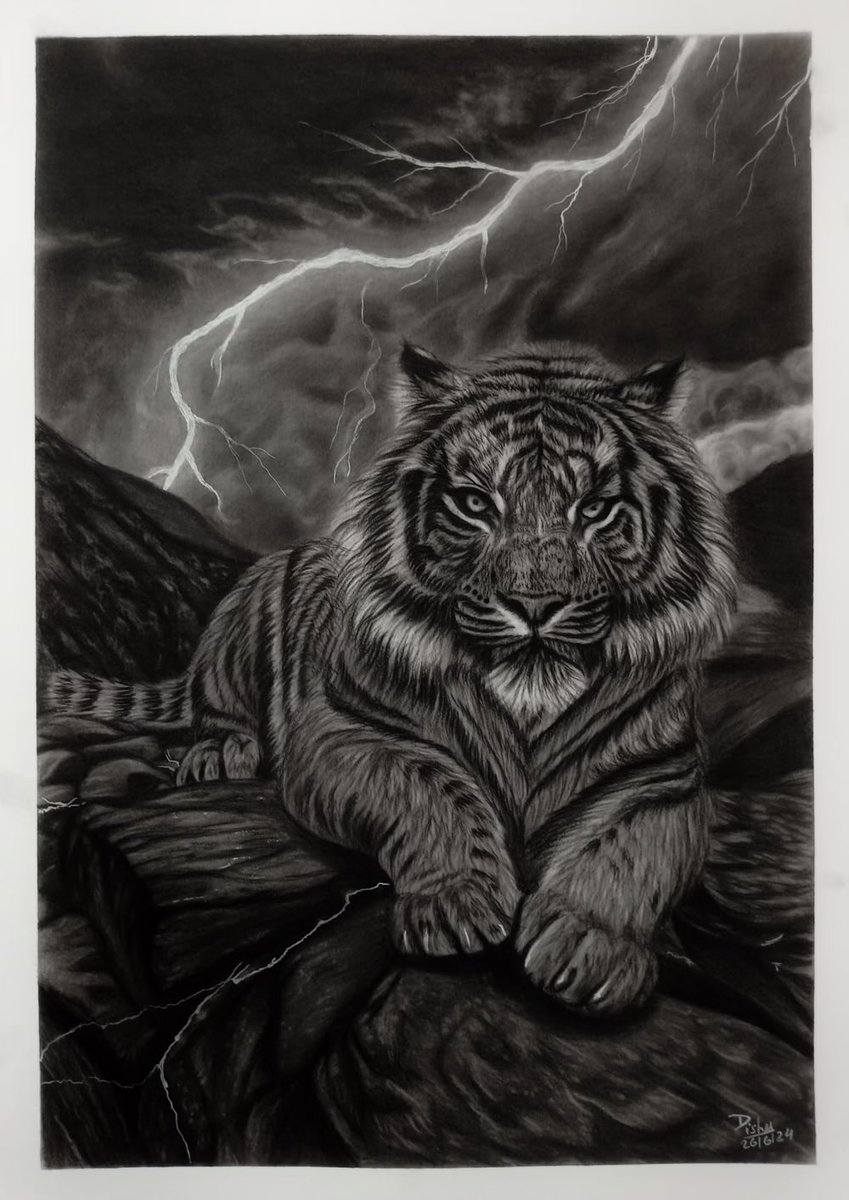 artoonty's tweet image. Good Morning 🖤

🤍SOLD

Lighting King @Randocatss aka @RandoGallery 

           Thank you very much for purchasing my artwork. Now you have another charcoal art, which is one of my favourite. I&apos;m very glad you like my creation. I am grateful for your love and support.