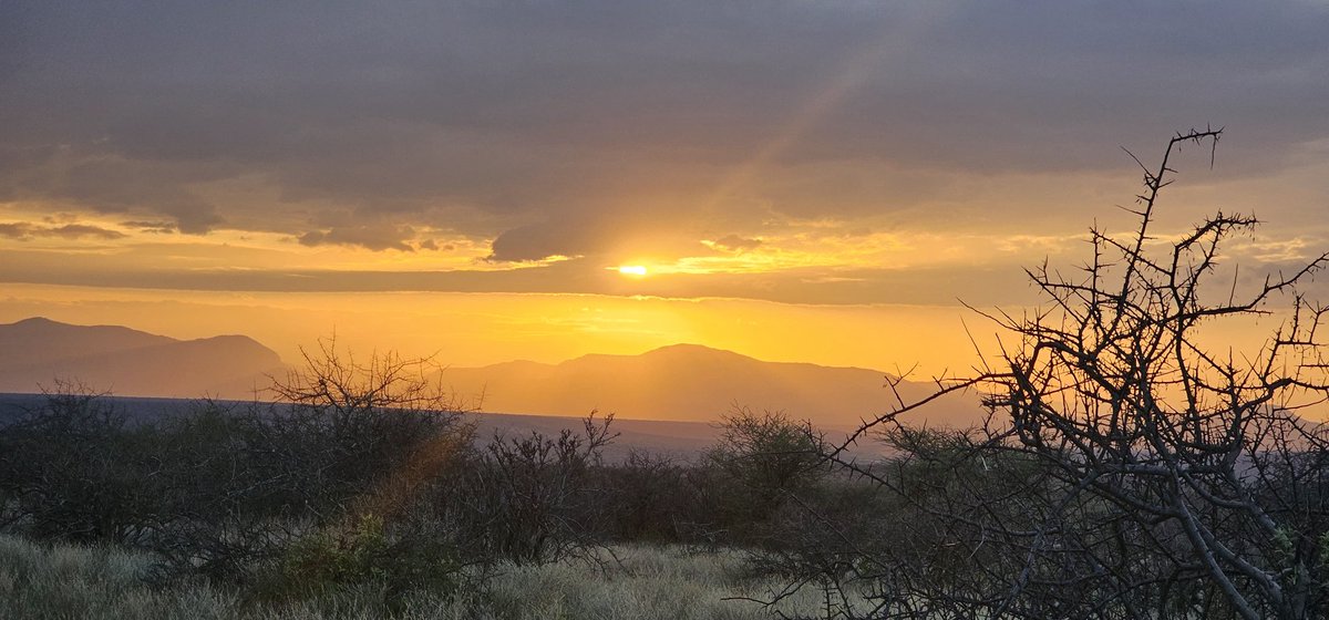 Reverietours's tweet photo. When the Sun decides to give a free show 😍.
Such a beautiful view from #Samburu #journeywithheritagekenya https://t.co/ViQSo5jqq2
