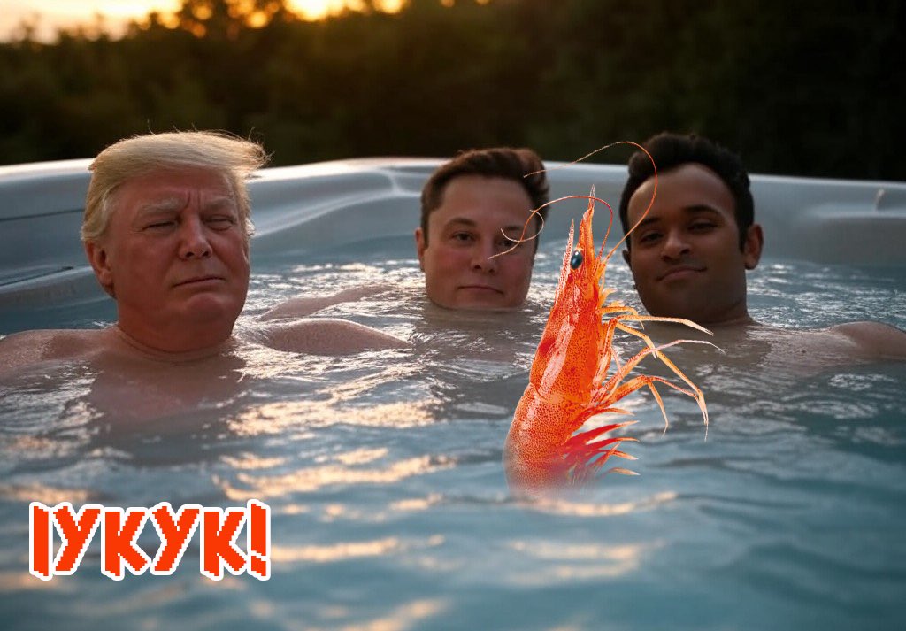 Elon Shrimp tweet media