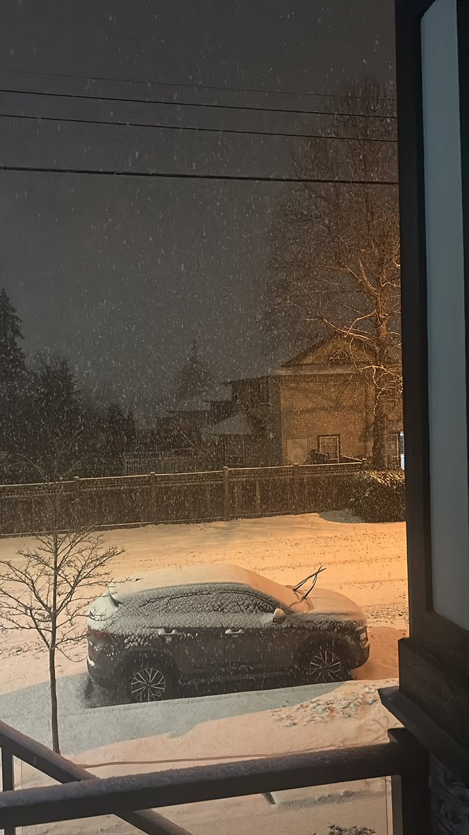 JosephSaltzman7's tweet photo. Heavy snow fall south surrey #bcsnow
#bcstorm https://t.co/drU8lOMjEt