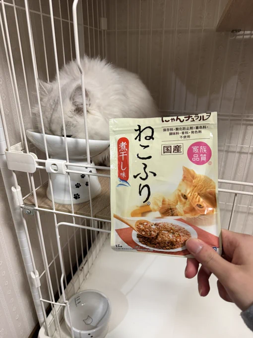 これご飯にかけたっけ食いつき良いな〜 