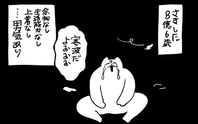 コートがない 