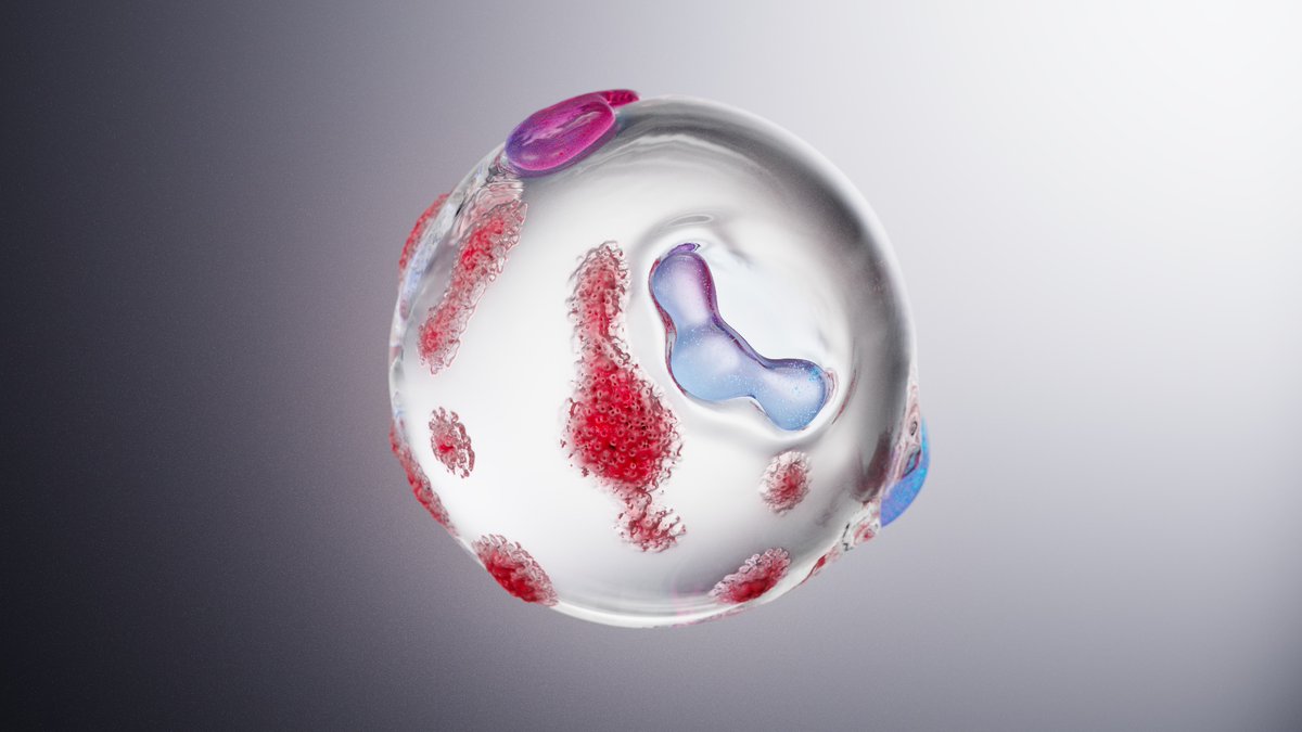 Jakub Spacek tweet media