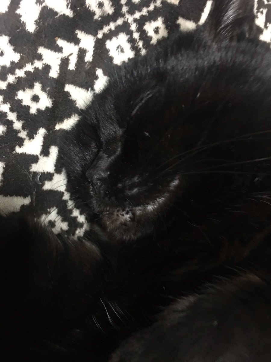 marusunk's tweet photo. Hello Roku https://t.co/paDvWiqLn3