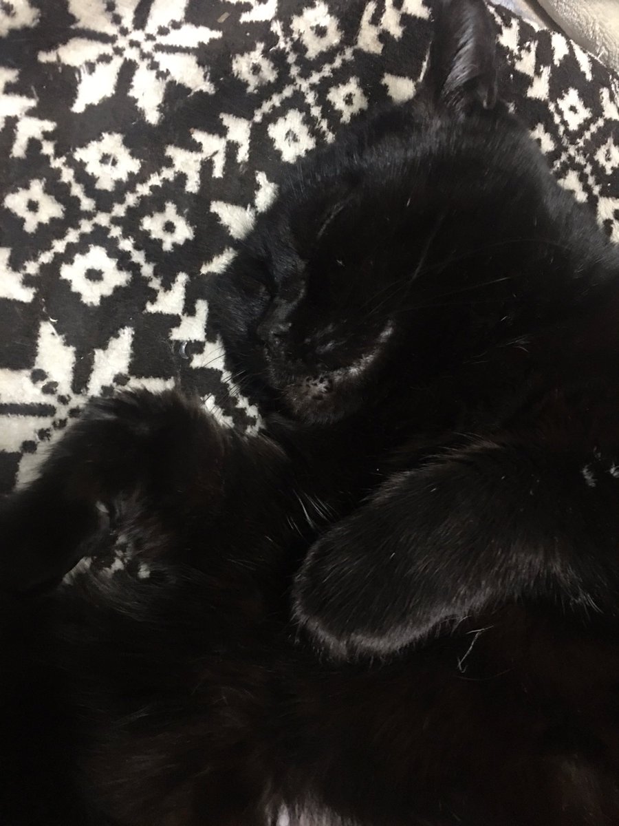 marusunk's tweet photo. Hello Roku https://t.co/paDvWiqLn3