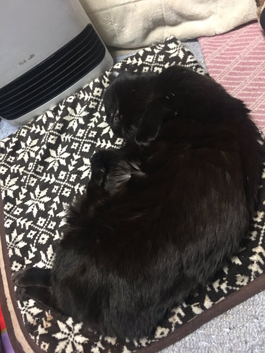 marusunk's tweet photo. Hello Roku https://t.co/paDvWiqLn3